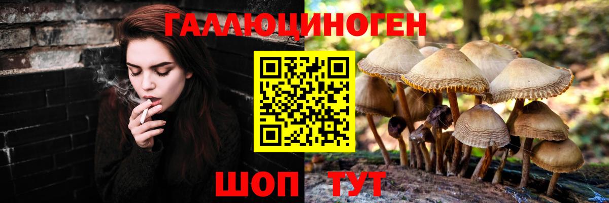 Кропоткин  Галлюциногенные грибы GOLDEN TEACHER  где купить наркотик  Вход с VPN 